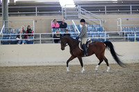 RCAHA19_SatAM_2911