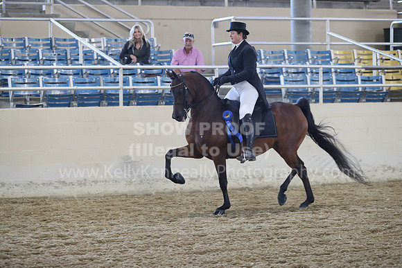 RCAHA19_SatAM_2714