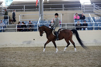 RCAHA19_SatAM_2912