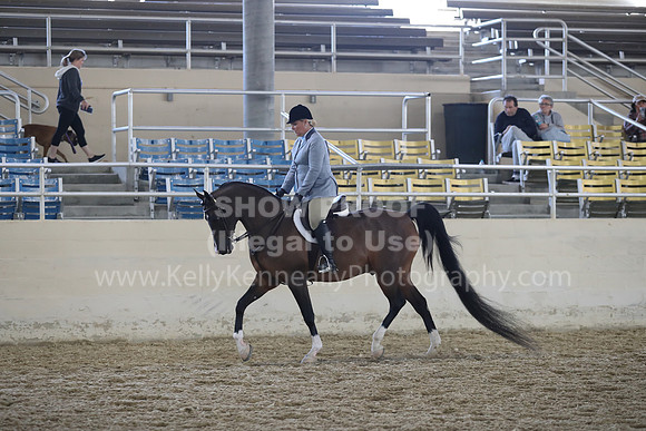 RCAHA19_SatAM_2915