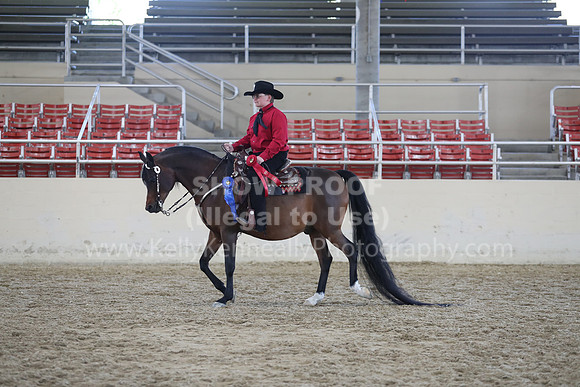 RCAHA19_SatAM_2851