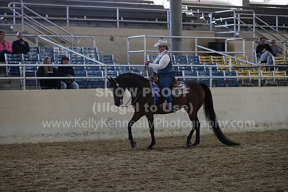 RCAHA19_SatAM_2883