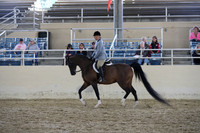 RCAHA19_SatAM_2917