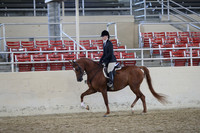 RCAHA19_SatAM_2737