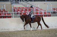 Class 125 HA/AA Hunter Pleasure JTR 18 & Under