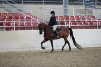 RCAHA19_SatAM_2743
