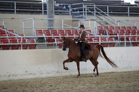 RCAHA19_SatAM_2935