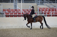 RCAHA19_SatAM_2745