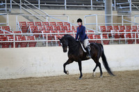 RCAHA19_SatAM_2746