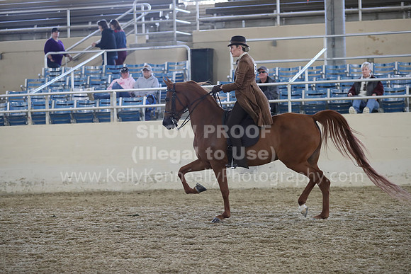 RCAHA19_SatAM_2940