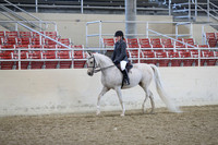 RCAHA19_SatAM_2753