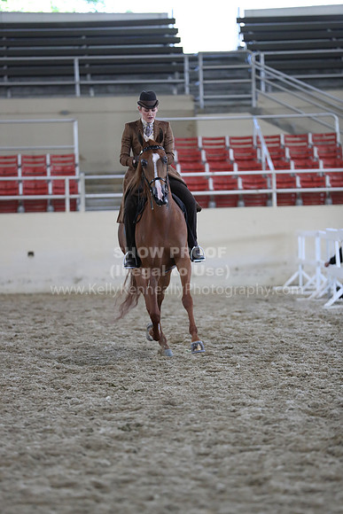 RCAHA19_SatAM_2941