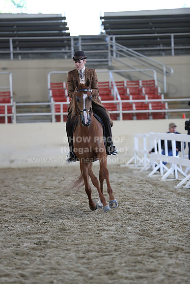RCAHA19_SatAM_2942