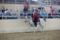 Class 130 Arabian Western Pleasure-AAOTR 50 & Over