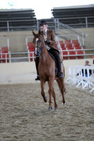 RCAHA19_SatAM_2943