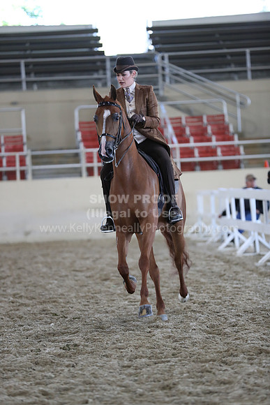 RCAHA19_SatAM_2943