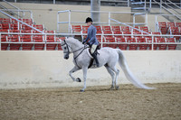 RCAHA19_SatAM_2757