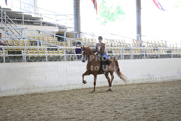 RCAHA19_SatAM_2950