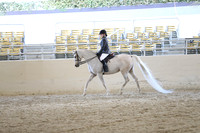 RCAHA19_SatAM_2761