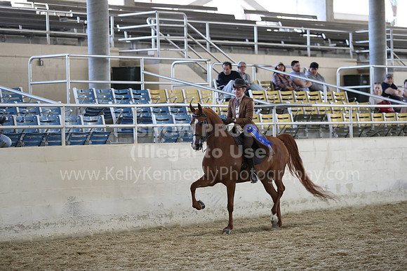 RCAHA19_SatAM_2953