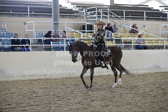 RCAHA19_SatAM_2965