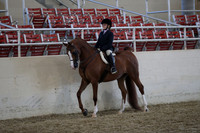 RCAHA19_SatAM_3067