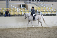 RCAHA19_SatAM_2762
