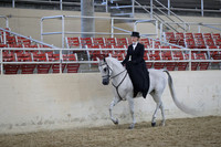 Class 132 Arabian Side Saddle-ATR