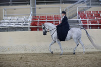 RCAHA19_SatAM_3162