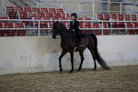 RCAHA19_SatAM_3071