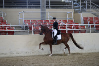 Class 133 HA/AA English Show Hack Open