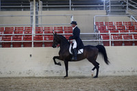 RCAHA19_SatAM_3193