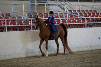 RCAHA19_SatAM_3073