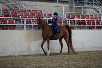 RCAHA19_SatAM_3074