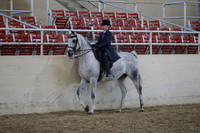 RCAHA19_SatAM_3075