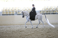 RCAHA19_SatAM_3164