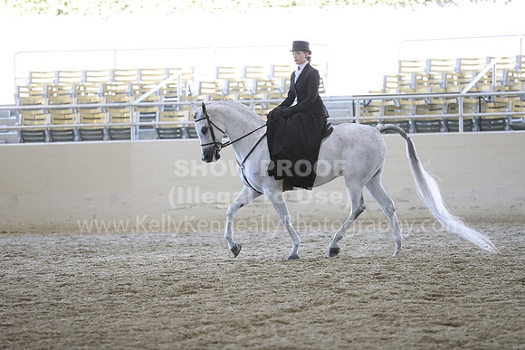 RCAHA19_SatAM_3164