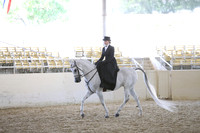 RCAHA19_SatAM_3165