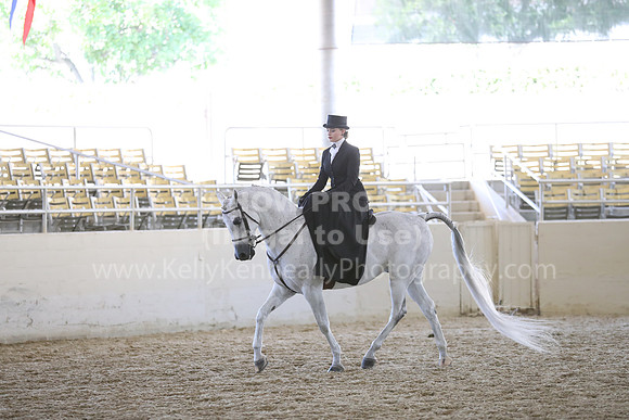 RCAHA19_SatAM_3165