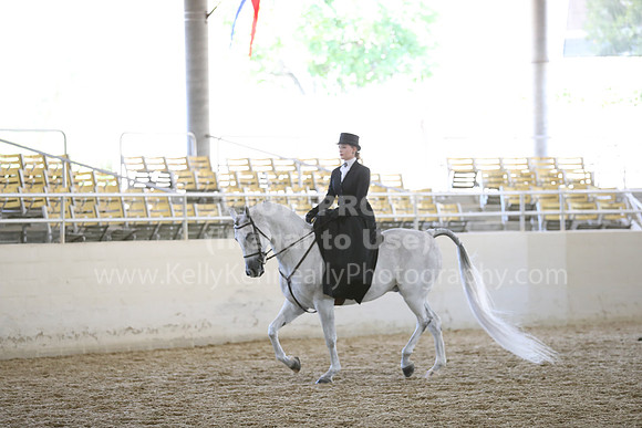 RCAHA19_SatAM_3166