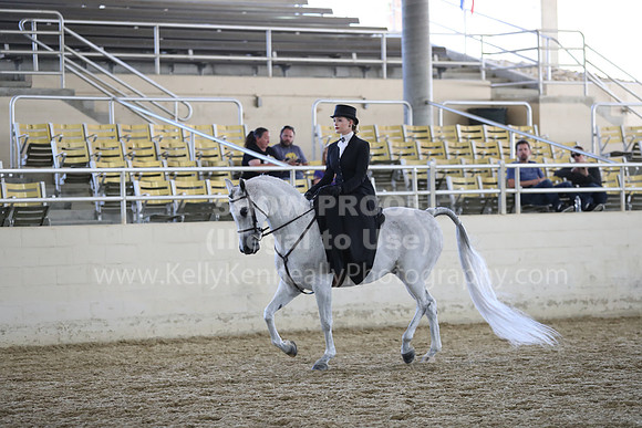RCAHA19_SatAM_3167