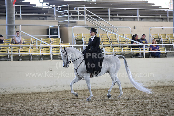 RCAHA19_SatAM_3168
