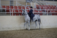 RCAHA19_SatAM_3076