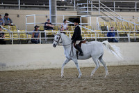 RCAHA19_SatAM_3077