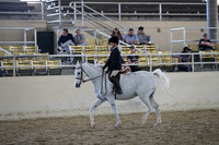 RCAHA19_SatAM_3078