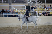 RCAHA19_SatAM_3079