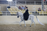 RCAHA19_SatAM_3169