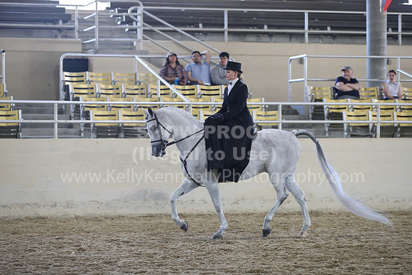 RCAHA19_SatAM_3169