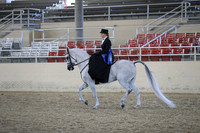 RCAHA19_SatAM_3170