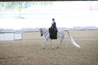 RCAHA19_SatAM_3172